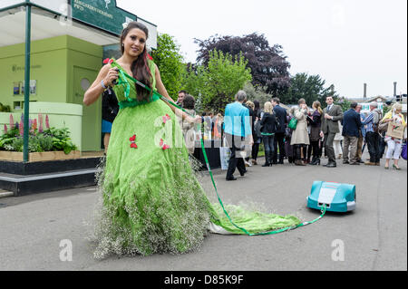 London, UK, 20.05.2013: 2013 RHS Chelsea Flower Show. . Bild von Julie Edwards Stockfoto