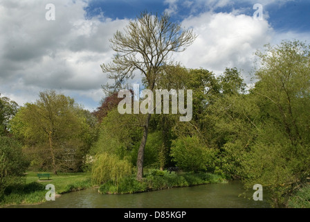 Grantchester Cambridgeshire UK die Insel Old Mill Pond ist Schauplatz von Sommerpartys, die Lord und Lady Archer auf ihrem Gelände von Old Vicarage veranstalten. England 2013 2010er Jahre UK HOMER SYKES Stockfoto