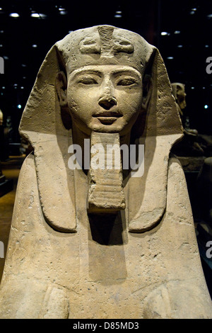 Italien Piemont Turin ägyptische Museum Statuen Raum der sphinx Stockfoto