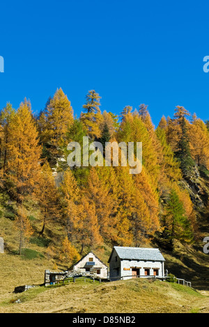 Italien Piemont Devero Alp Alpe Devero Stockfoto