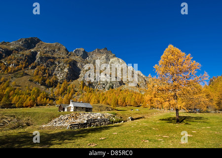 Italien Piemont Devero Alp Alpe Devero Stockfoto