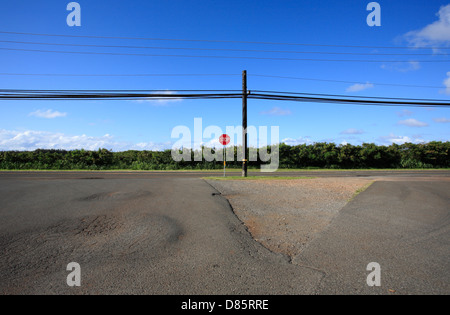 Rote Stop-Schild auf einer einsamen Straße auf der North Shore von Oahu, Hawaii. Stockfoto