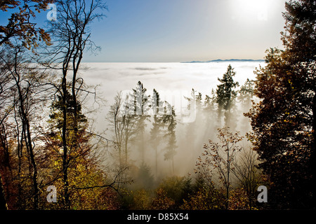 Frankreich Elsass rund um der Haut Koenigsbourg Landschaft Stockfoto