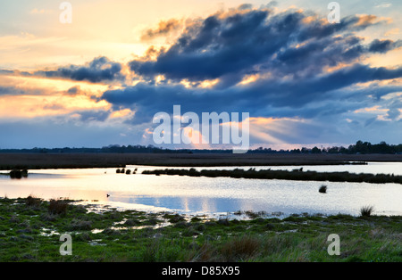 dramatische Wolken bei Sonnenuntergang über den Sumpf, Drenthe, Niederlande Stockfoto