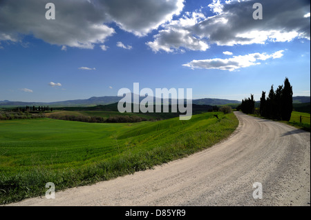 Italien, Toskana, Val d'Orcia, Landstraße und Mount Amiata in der Ferne Stockfoto