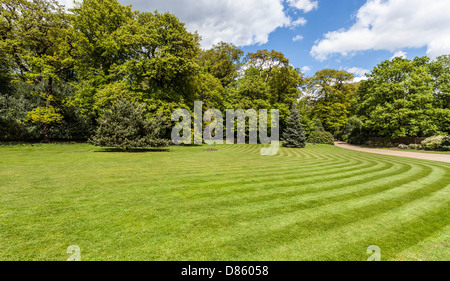 Grüne Wiese mit gemähten Streifen, Hampstead Heath, London, England, UK Stockfoto