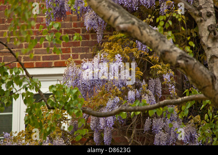 Camden London Stockfoto