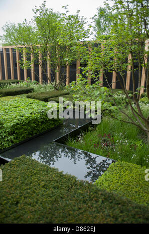 20.5.2013, London, UK. Der Daily Telegraph gestaltete Garten von Christopher Bradley-Hole bei der RHS Chelsea Flower Show. Stockfoto