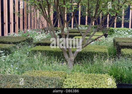 The Daily Telegraph Garten, Aussteller: Der tägliche Fernschreiber, Designer: Christopher Bradley-Hole. Chelsea Flower Show 2013 Stockfoto