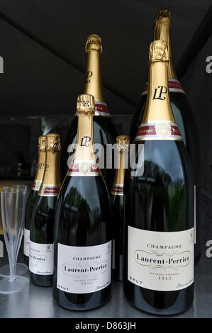 London, UK, 20.05.2013: 2013 RHS Chelsea Flower Show. Champagner. Bild von Julie Edwards Stockfoto