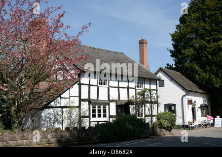 Fachwerk Landhaus und The Old Forge Black und White VillageTrail Dilwyn Herefordshire England UK Stockfoto