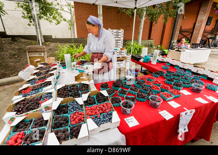 Frau verkaufen Beeren auf einem Bauernmarkt in La Grande-Oregon Stockfoto