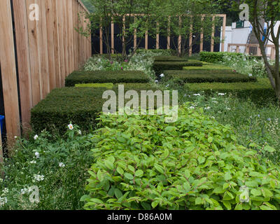 Montag, 20. Mai 2013. Der Daily Telegraph Garten. London, UK. Bildnachweis: Ian Thwaites/Alamy Live-Nachrichten Stockfoto