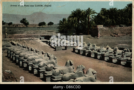 Avenue der Rammelsphinxen, Tempel des Amun, Ägypten Stockfoto