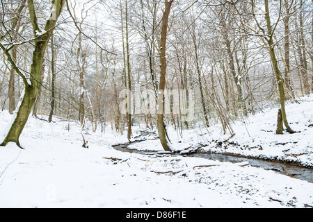 Kleinen Bach im verschneiten Burnham Beeches, Buckinghamshire, Großbritannien Stockfoto