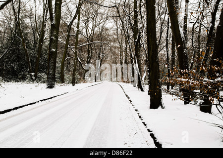 Stewarts fahren in den Schnee, Burnham Beeches, Buckinghamshire, Großbritannien Stockfoto