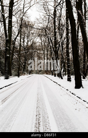 Stewarts fahren in den Schnee, Burnham Beeches, Buckinghamshire, Großbritannien Stockfoto