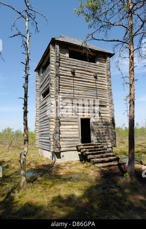 Selli Sillaotsa Wanderweg Wachturm in Alam Pedja Nature Reserve, Estland EU Stockfoto