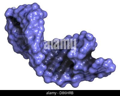 Mikro-RNA (MiRNA, hat-MiR-133a) Struktur, Computer-Modell. MiRNA ist RNA nichtcodierende, die Aufsichtsfunktionen gen hat. Stockfoto