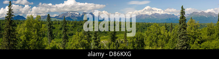 Panoramablick Alaska Range: Foraker, Hunter, Denali (Mount McKinley), Elch Zahn & Silverthrone f ' Denali Sicht Süd ", AK Stockfoto