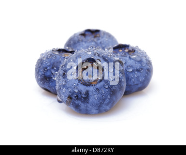 Frische Heidelbeeren auf weißem Hintergrund Stockfoto