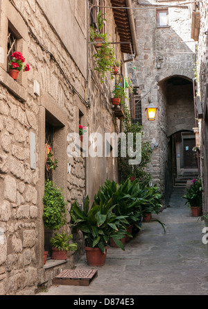 Die mittelalterlichen Mauern umgebene Stadt Viterbo, Umbrien, Italien Stockfoto