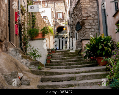 Die mittelalterlichen Mauern umgebene Stadt Viterbo, Umbrien, Italien Stockfoto