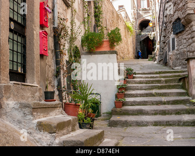 Die mittelalterlichen Mauern umgebene Stadt Viterbo, Umbrien, Italien Stockfoto