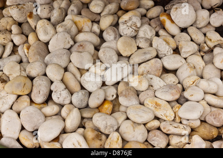 weißer Felsen-Hintergrund Stockfoto