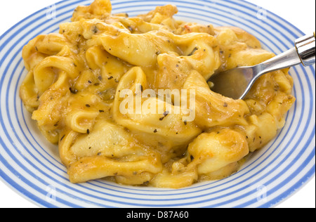 Eine Nahaufnahme einer kleinen Portion Tortellini mit Basilikum und Käse auf einen kleinen Teller mit Gabel. Stockfoto