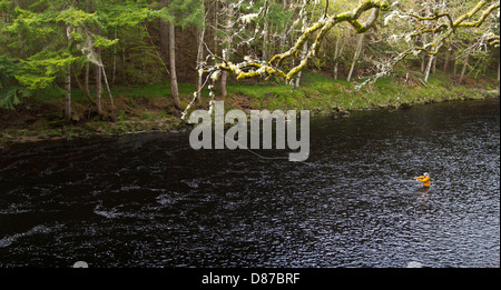 LACHSFISCHEN AN DER RIVER FINDHORN MORAY SCHOTTLAND Stockfoto