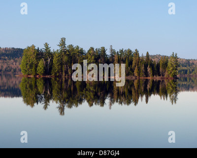 Kiefern auf einer Insel In der Brauer Lake Algonquin Park Provincial Park Ontario Kanada Reflexion im Wasser bei Sonnenaufgang Stockfoto