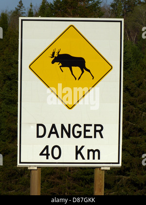 Elch Schild im Algonquin Park-Ontario-Canada-Highway 60, der durch den Provincial Park läuft Stockfoto