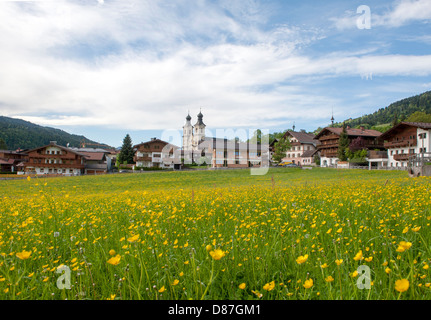 Butterblumen in voller Blüte auf dem Dorfplatz von Hopfgarten, ein echtes Tiroler Dorf mit traditionellen Berghütten Stockfoto