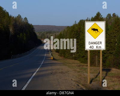 Elch Schild im Algonquin Park-Ontario-Canada-Highway 60, der durch den Provincial Park läuft Stockfoto