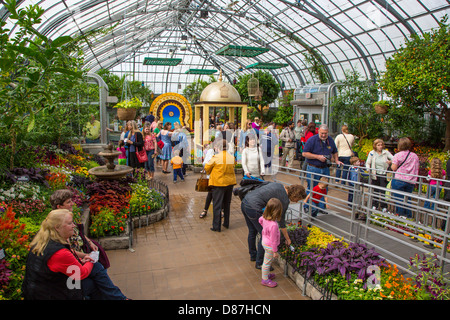 Menschen bei Krohn Conservatory Schmetterlinge von Marokko anzeigen in Cincinnati Ohio Stockfoto