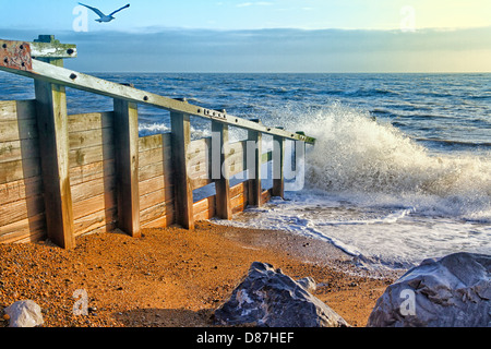 Wellenbrecher und Küste, Aldeburgh, Suffolk, England Stockfoto