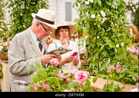 LONDON, UK - 22. Mai 2012: Besucher bei der RHS Chelsea Flower Show 2012. Stockfoto