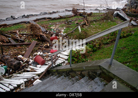 Zerstörte Lattenzaun, entwurzelte Landschaftsbau und Treibgut überkam Ufermauer während Hurrikan Sandy s.i., USA 30. Oktober 2012 Stockfoto