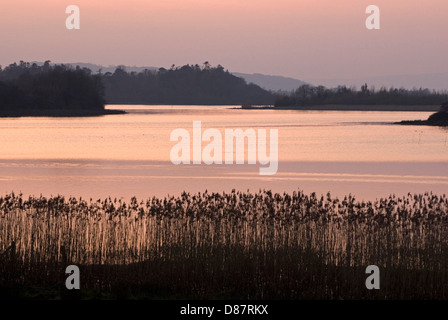 Sonnenuntergang über der oberen Lough Erne, Grafschaft Fermanagh, Nordirland Stockfoto