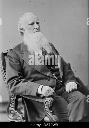 Allen T. Caperton - Brady-Handy. Stockfoto