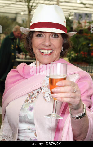 Chelsea, London, UK. 20. Mai 2013. Esther Rantzen am RHS Chelsea Flower Show Presse und VIP Preview Tag, Royal Hospital Chelsea, London - 20. Mai 2013 Foto von Keith Mayhew/Alamy Live-Nachrichten Stockfoto