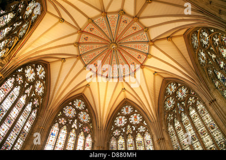 Das Dach des 13. Jahrhunderts Kapitelsaal, Teil des York Minster Cathedral, York, Yorkshire UK Stockfoto