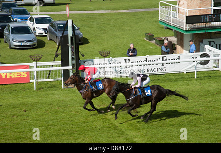 Salisbury Racecourse Rennpferde im Winning Post England UK Stockfoto