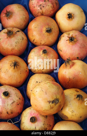 Granatapfel für Verkauf in einen Gemüsehandel Stockfoto