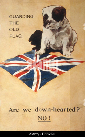 WW1 POSTKARTEN BULLDOG Stockfoto