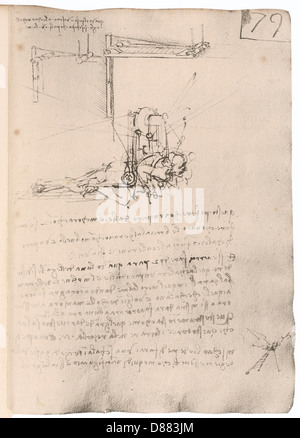 Leonardo-Flugmaschine Stockfoto