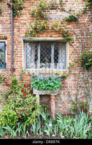 Sissinghurst Castle, Kent, England - bröckelnden gemauerte Wand, bedrahtet, helle Fenster und Pflanzentrog Stockfoto