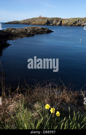 Wales Küstenweg in Nord-Wales. Malerische Aussicht auf Porth Eilian in der Nähe von Llaneilian auf Anglesey Nord. Stockfoto