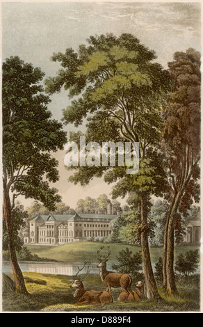 WOBURN ABBEY/ACKERMANN Stockfoto